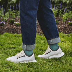 Allbirds_Tree Dasher 2_Shipgo美國代運