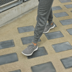 Allbirds_Tree Runners_Shipgo美國代運