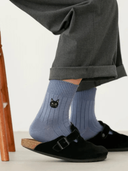 Tabio 靴下屋貓之日_Shipgo日本代運